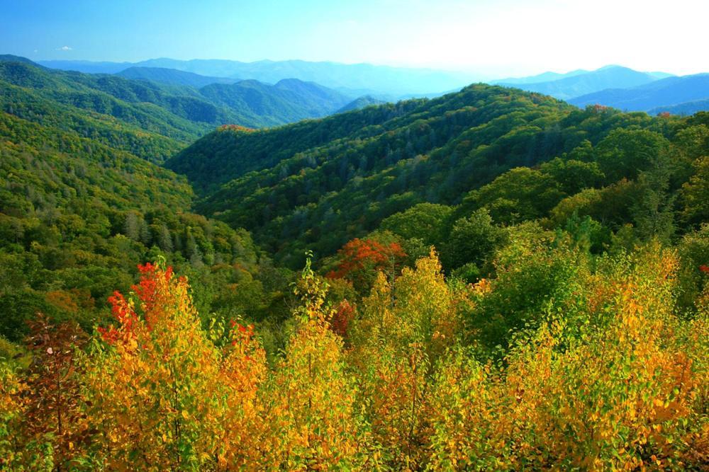 Dreams Come True With This Luxury Cabin! Gatlinburg Εξωτερικό φωτογραφία